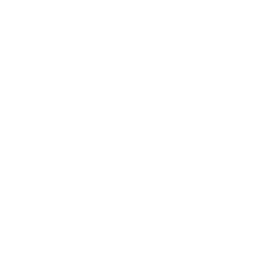 On Time Software Systems, Inc.